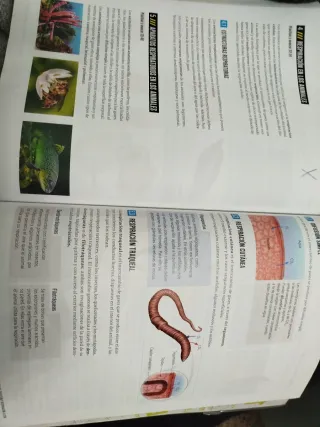 Proyecto: FanFest - Biología, Geología y Cienci...