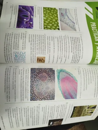 Proyecto: FanFest - Biología, Geología y Cienci...