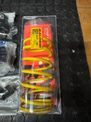 Variador Malossi Multivar.