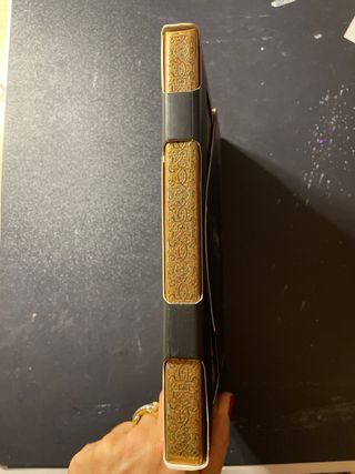 Custodia iPad Mini 1, 2, 3 Dorata