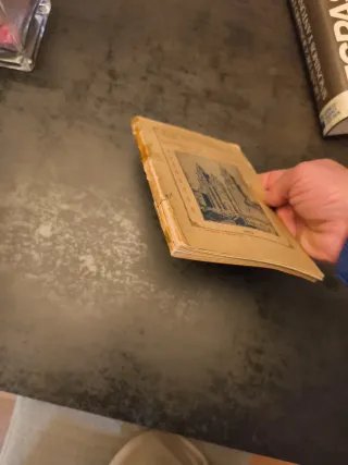 Libro antiguo 1920. Guía Documentada de Santiago C