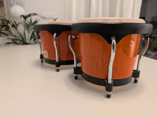 Bongos Tycoon Artist Series