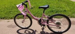 Lote bicicleta y patinete