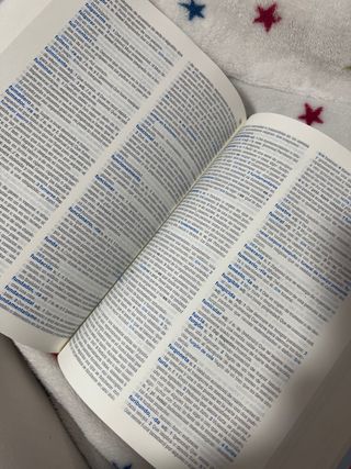 Diccionario de Secundaria y Bachillerato (Spani...