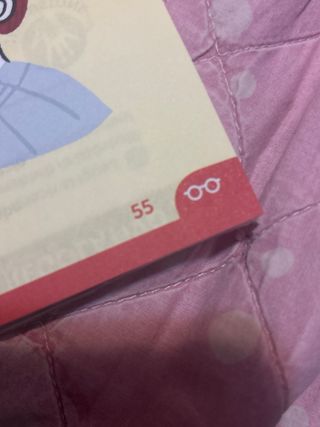 GLI ATTREZZI DELLO/DEL SCRITTORE/LETTORE 1