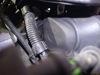 Seat aua motor completo ibiza 1.4 16v rectp5662629