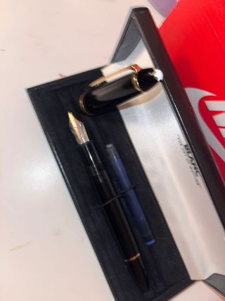 Set di penne stilografiche di lusso Marrone e Oro Waterman