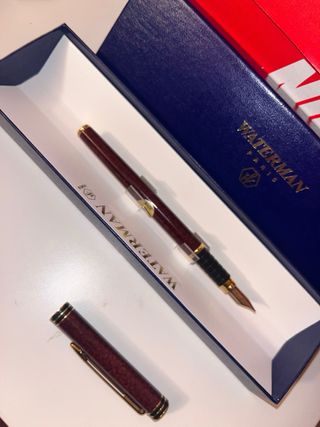 Set di penne stilografiche di lusso Marrone e Oro Waterman