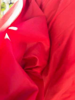 Chubasquero Champion Rojo