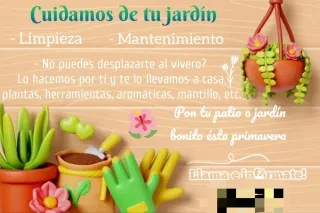 Mantenimiento jardín