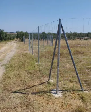 Terreno rústico con pozo