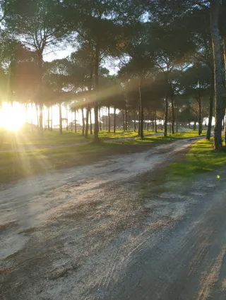 Terreno rústico con pozo