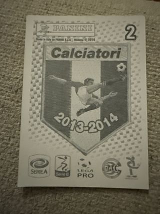 Figurina N. 2 Album 2013-14