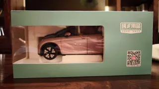 BYD Dolphin 1/18 Original con Caja