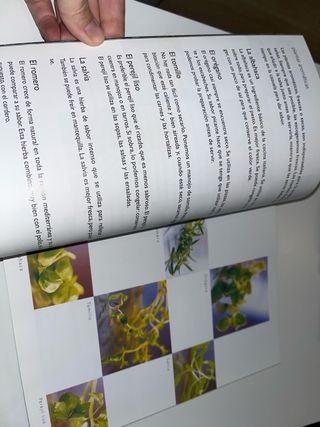 Libro de recetas: Pasta