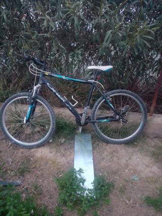 Bicicleta Orbea de montaña