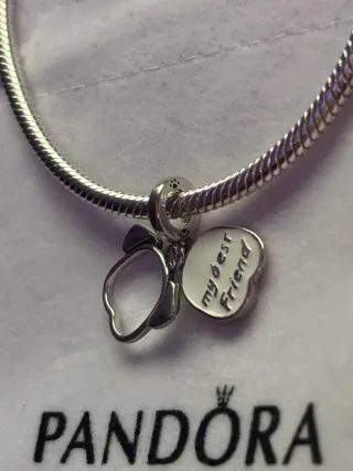 Charm doble plata Silueta Perro