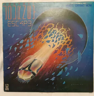 Lote Vinilos Journey, Scorpions, BAD y S.Vega