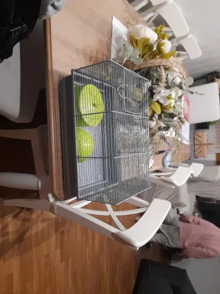 Jaula para hámster con accesorios