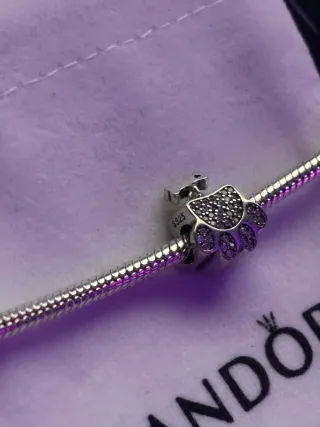 Charm plata Huella Perro