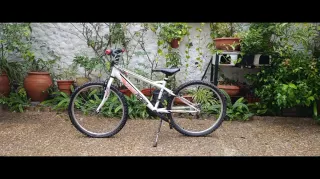 Bicicleta mediana