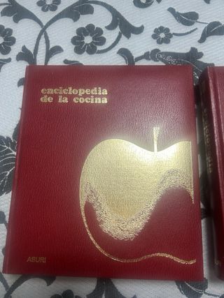 Libros de cocina regionales totalmente nuevos