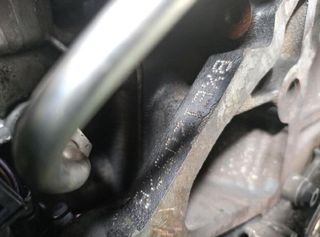 Rectp5767374 motor completo bxe seat leon 1.9 tdi