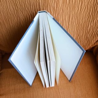 The Arrivals: A Novel (English Edition)