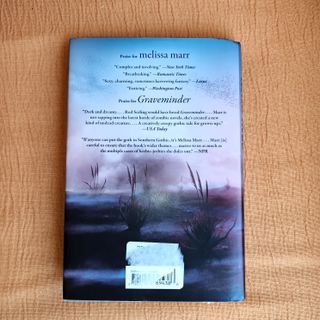 The Arrivals: A Novel (English Edition)