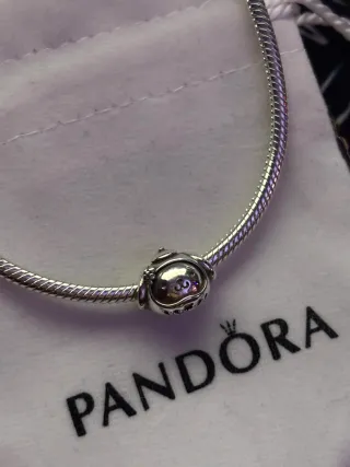 Charm plata Pompompurin