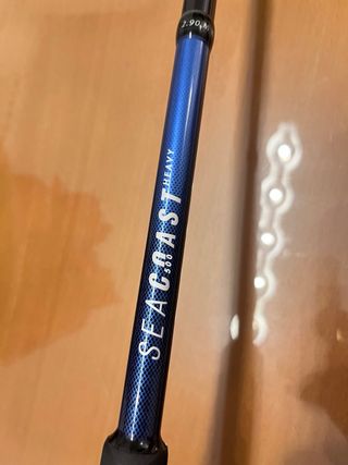 Caña de pescar Decathlon Seacoast 500