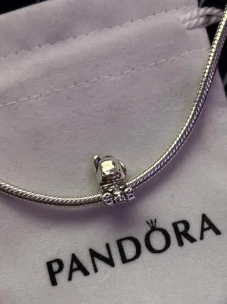 Charm plata Pochacco