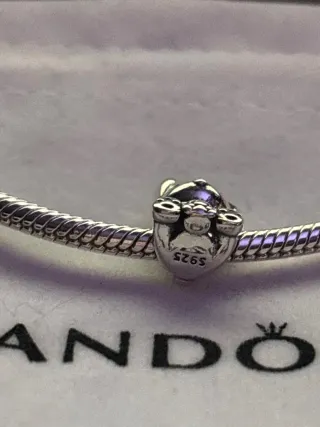 Charm plata Pochacco