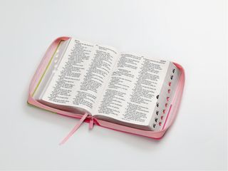 Biblia RVR60 Tamaño manual/letra Gigante