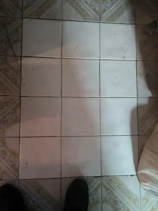 Azulejos blancos brillo 20x20 Más de 200 ud.