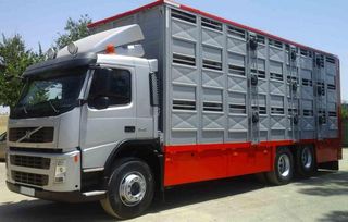 Volvo FM-9 340-CAMIONES GANADEROS