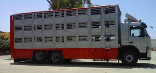 Volvo FM-9 340-CAMIONES GANADEROS