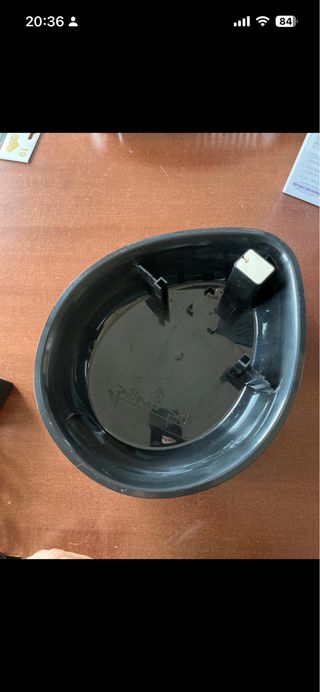 Fontanella per gatti