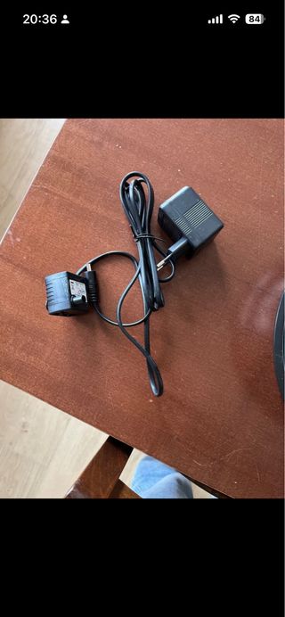 Fontanella per gatti