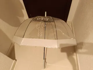 Paraguas transparente con cactus