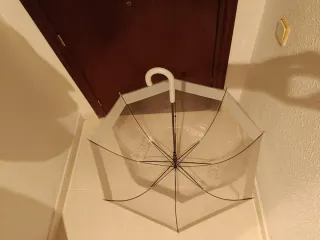 Paraguas transparente con cactus