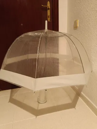 Paraguas transparente con cactus