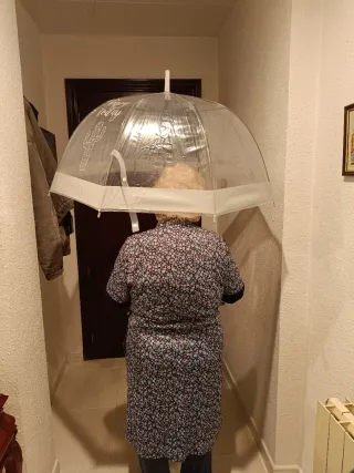 Paraguas transparente con cactus