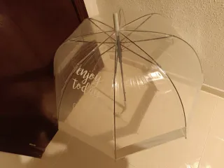 Paraguas transparente con cactus