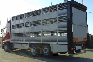 Volvo FH 13 400-CAMIONES GANADEROS