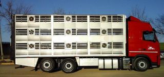 Volvo FH 13 400-CAMIONES GANADEROS