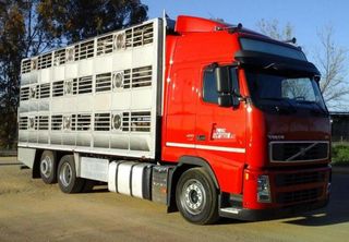 Volvo FH 13 400-CAMIONES GANADEROS