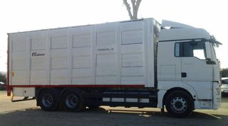 Scania R 490-CAMIONES GANADEROS