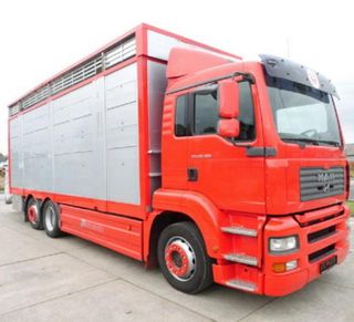 MAN TGA 26 350-CAMIONES GANADEROS