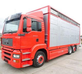 MAN TGA 26 350-CAMIONES GANADEROS